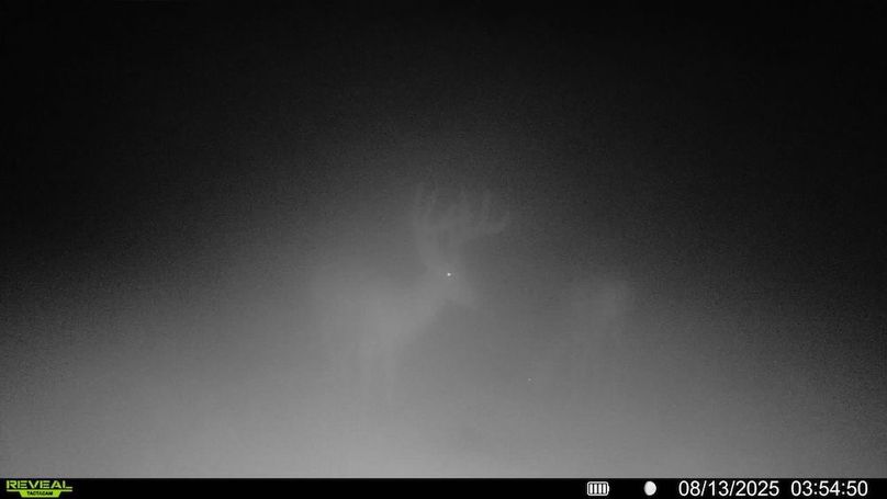 016578002025259-100-3-08132025035450-SYFW05550 (1)