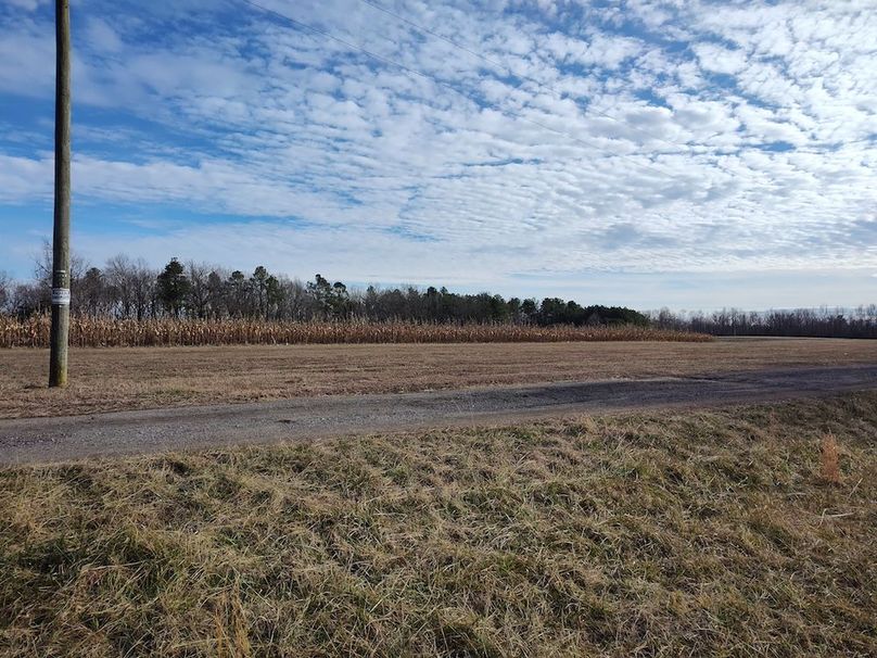 IMG_20260123_145517283