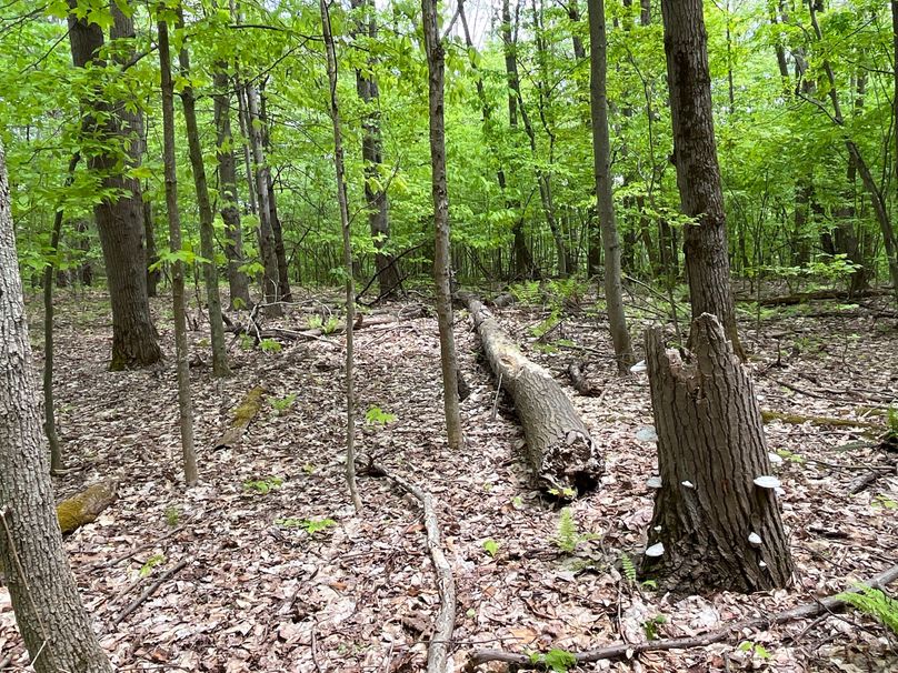 Tioga_18.72_Coulson Photo 44