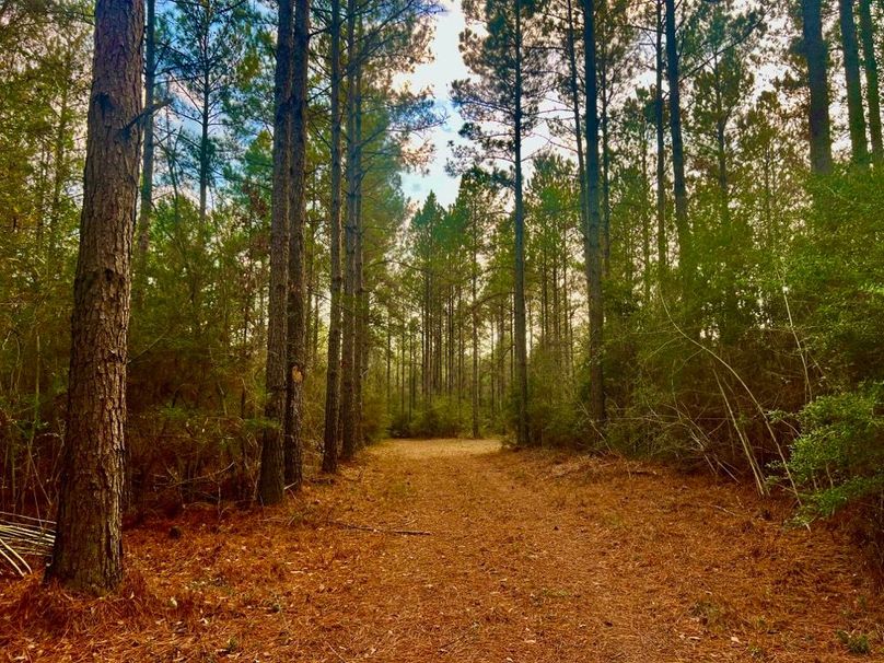 BC035667-9169-40EC-AC54-38BEB91E8BFB_1_201_a