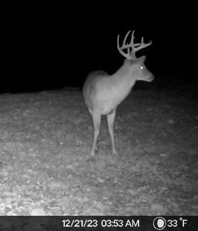 image638387591268826270