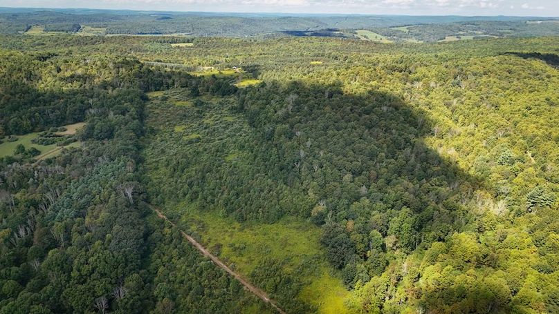 Tioga NY 232.62 Shores Photos 26