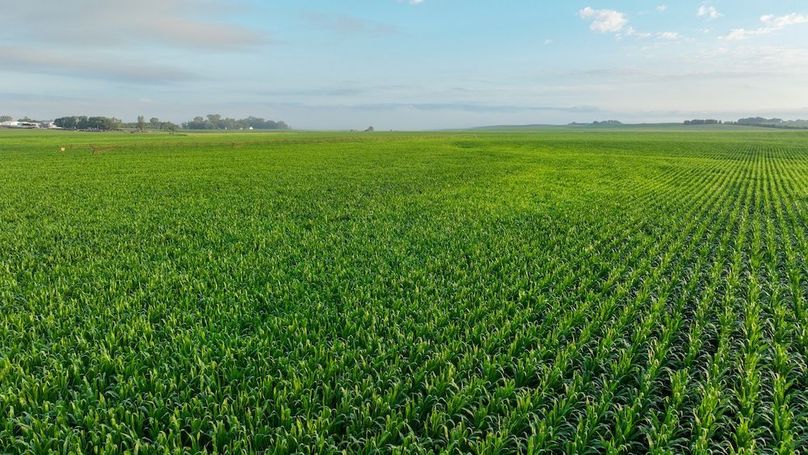 Copy of Copy of DJI_0365