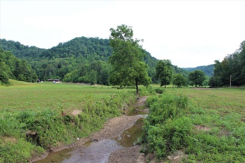 028 view from the road, looking north up into the property