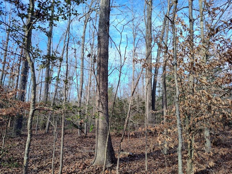 IMG_20260123_150555799_HDR