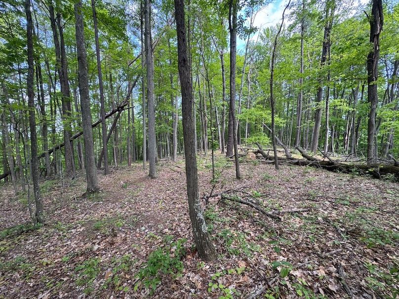 Pleasants, WV 168.59 AC Superior, Swank, Young-054