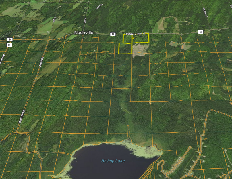 Forest85.5Stevens midaerial