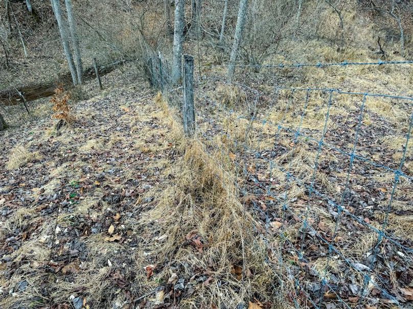 Doddridge, WV 79.08 AC Adams-72