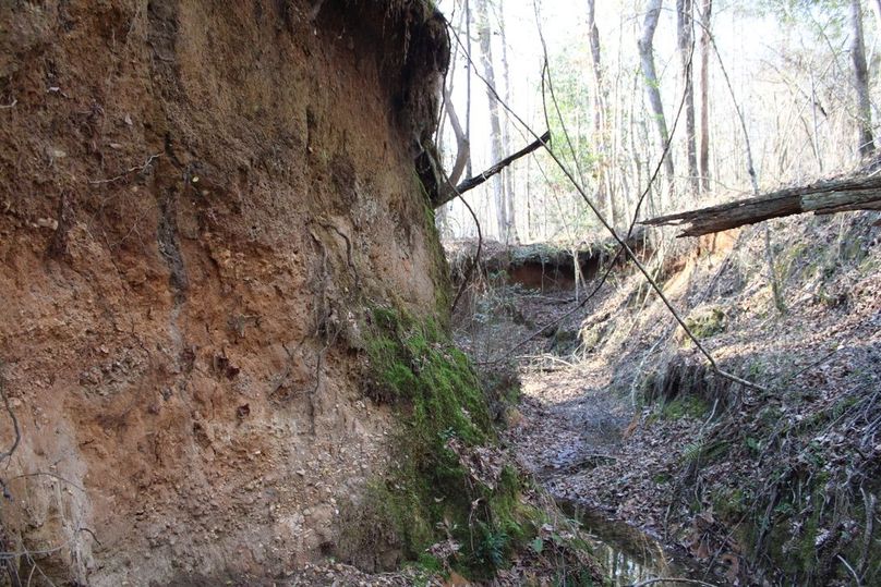 41453EB5-0101-44FA-A097-5DB2B16C290D_1_105_c