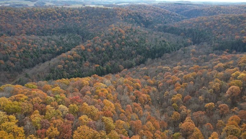 dji_fly_20251105_123504_917_1762380907078_photo