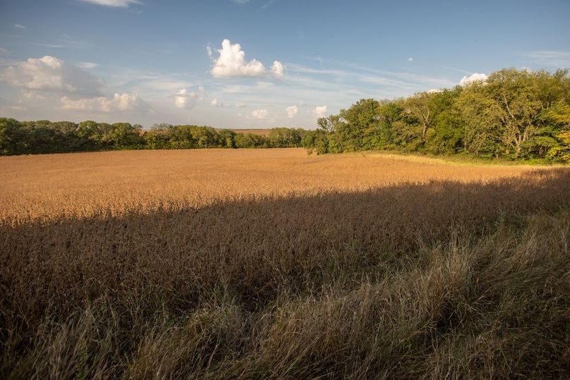 Copy of POTTAWATTAMIE CO IA 311 TRACT 3_15