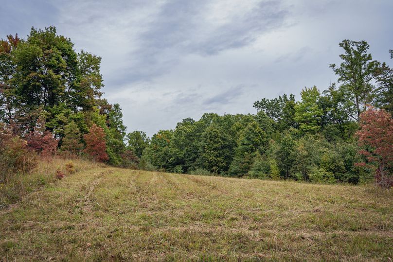 DSC09418