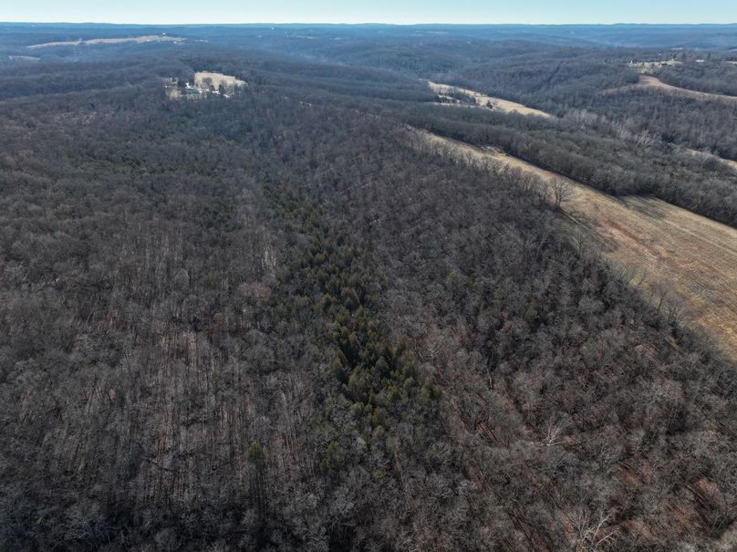 DJI_20240111095239_0047_D