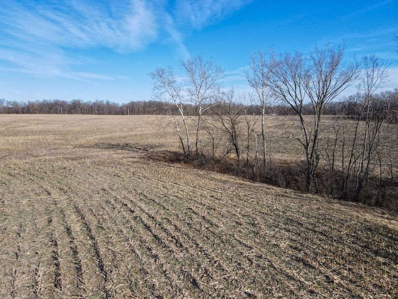 vandalia 450 (2)-2248