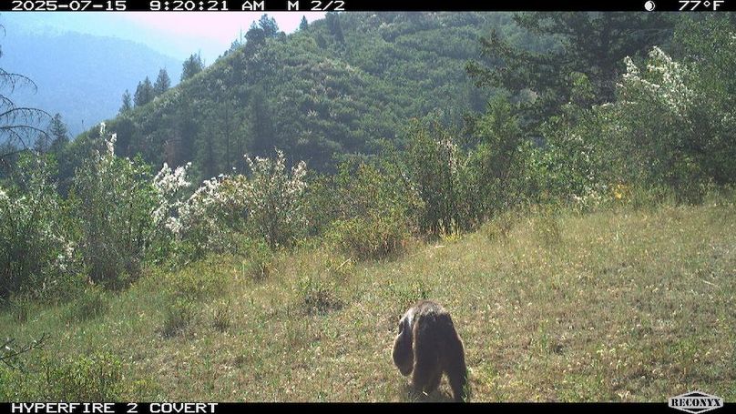 B45629EE-5451-4932-9FA5-0979888CC1BC