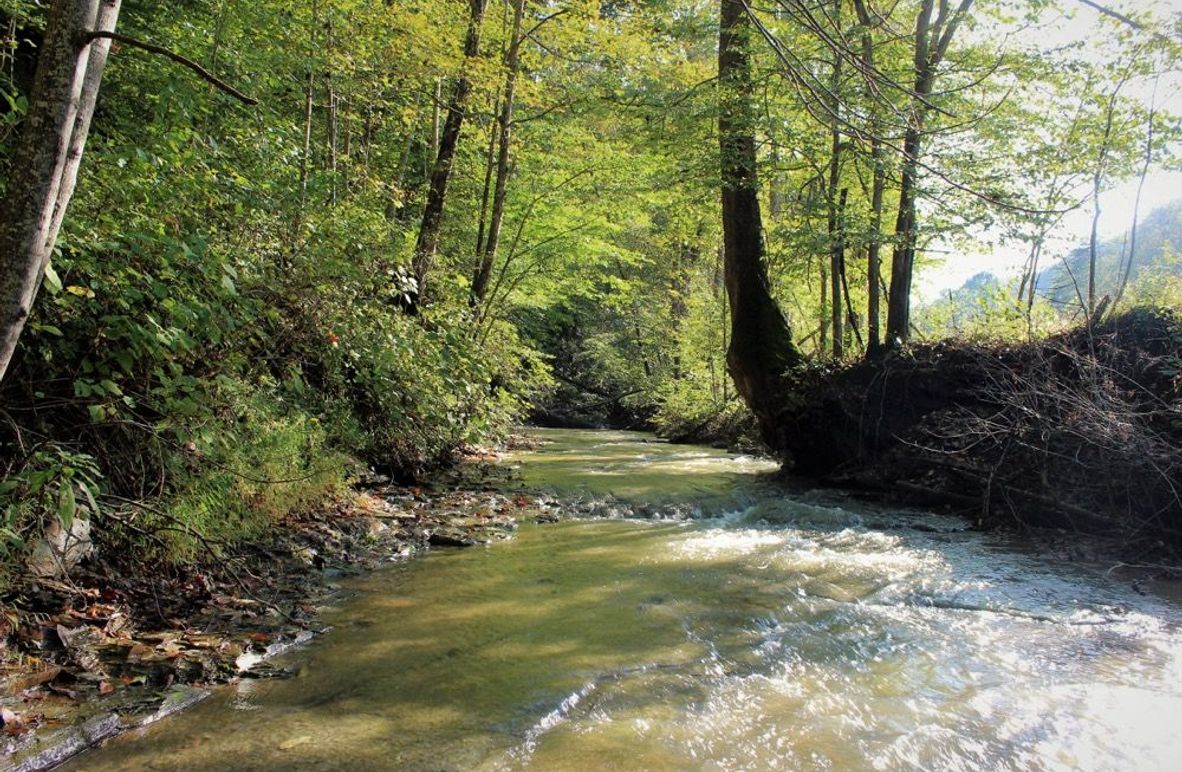 001 year-round, rippling mountain stream along the west boundary