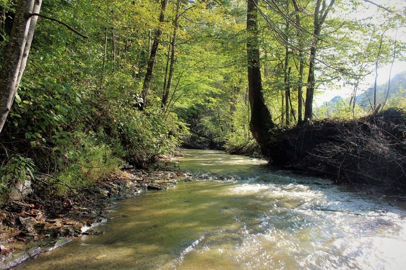 001 year-round, rippling mountain stream along the west boundary