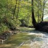 001 year-round, rippling mountain stream along the west boundary