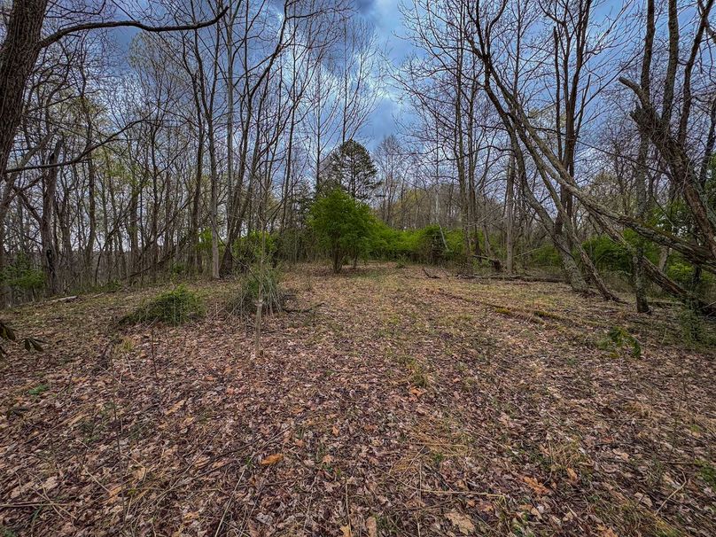 Wirt, WV 39.564 AC Full-19