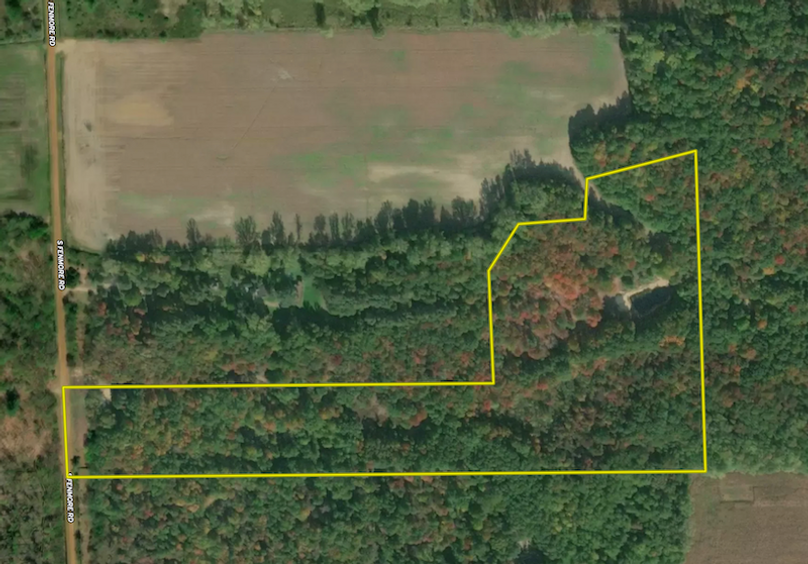 Screenshot 2026-04-01 at 2.02.59 PM