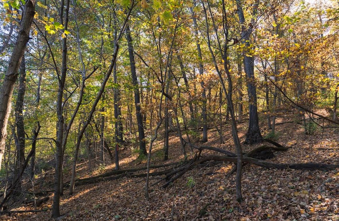 Copy of A1W08335-HDR