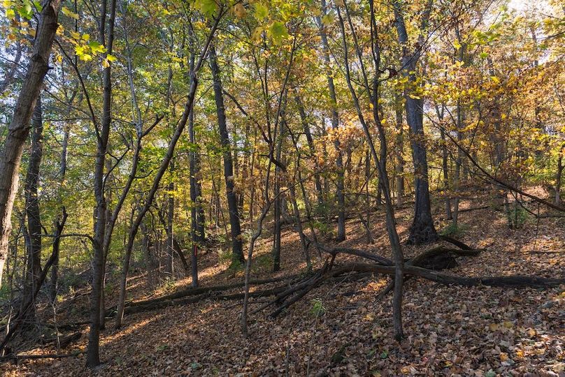 Copy of A1W08335-HDR