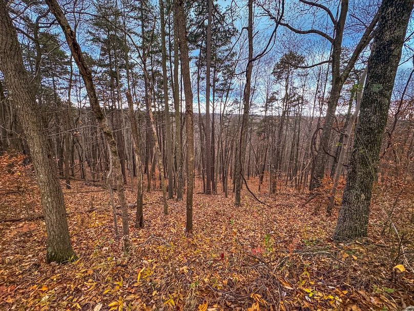 Ritchie, WV 14.081 AC Currey-38