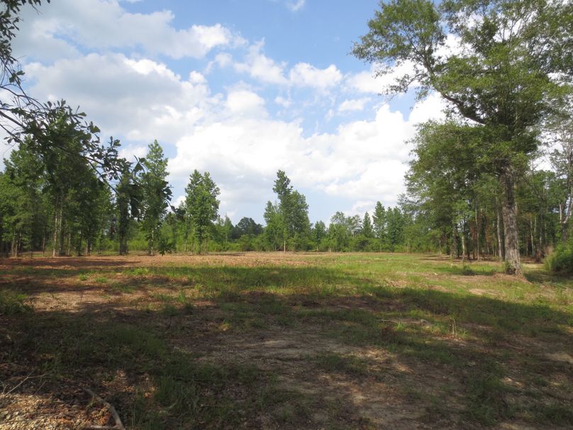 9A707FC2-FD4B-4C45-BB43-171BAE9A330F