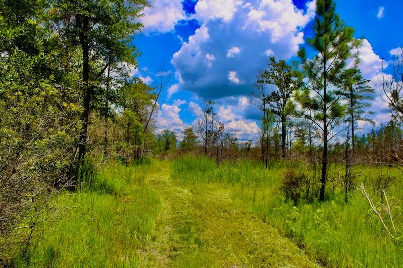 7756290D-DDF5-4F43-A9B1-95C72893DCF9_1_201_a