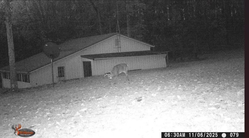 Screenshot 2025-11-13 154759