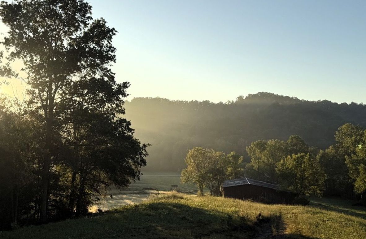 003 Elevated vantage point showcases rolling pastureland framed by wooded hill, an ideal blend of open ground and privacy.