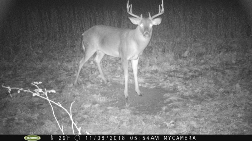 trail cam25