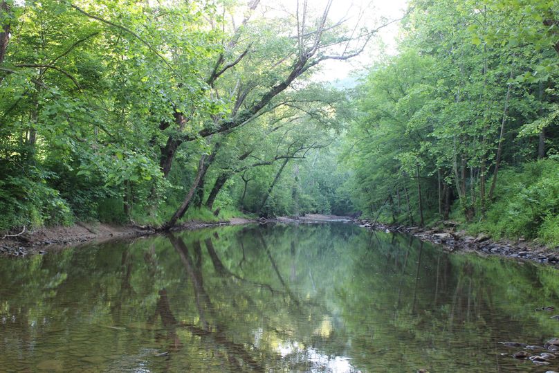 001 View of the beautiful Sturgeon Creek as you enter into the property
