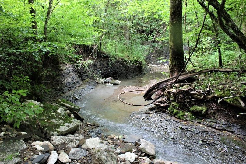 029 Long Branch creek toward the north section of the property