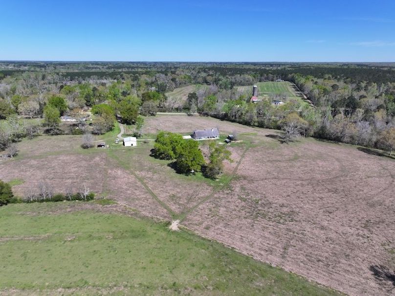 dji_fly_20260317_093928_0410_1773768873483_photo