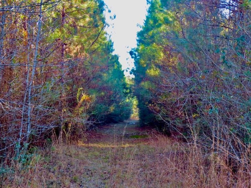 2168B175-9AF5-4189-9E0A-121F85A88037_1_105_c