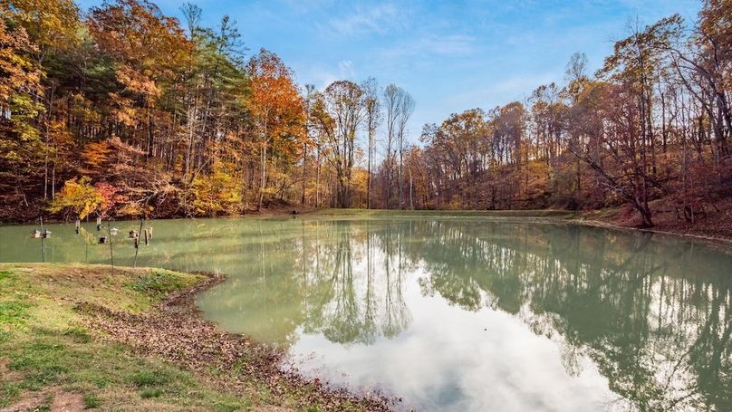 70-z 46585 Morning Star122-2