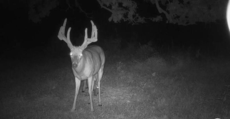 Copy of 1-5497698693