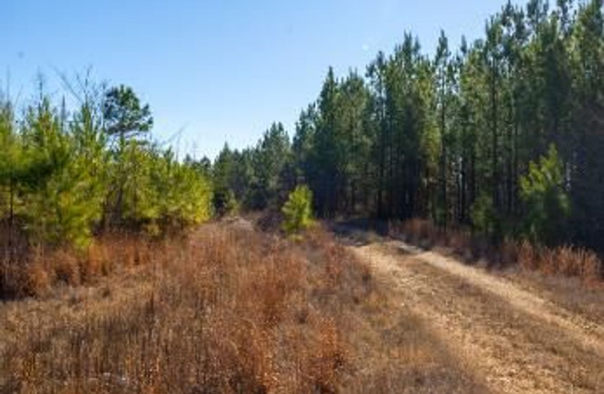 MCKINNON TRACT 19-03