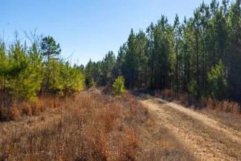 MCKINNON TRACT 19-03