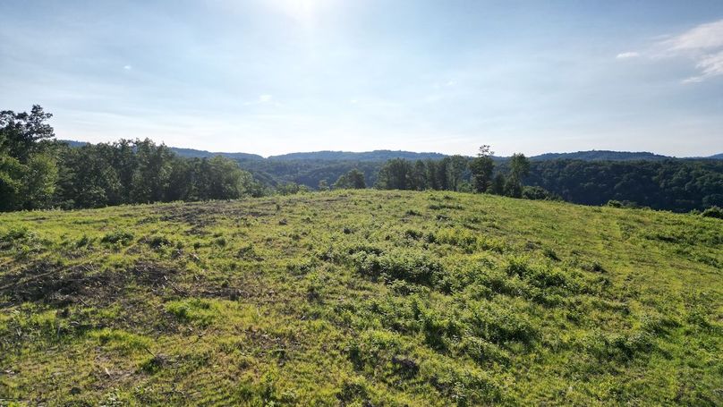 Copy of dji_fly_20240703_133752_513_1719964281860_photo