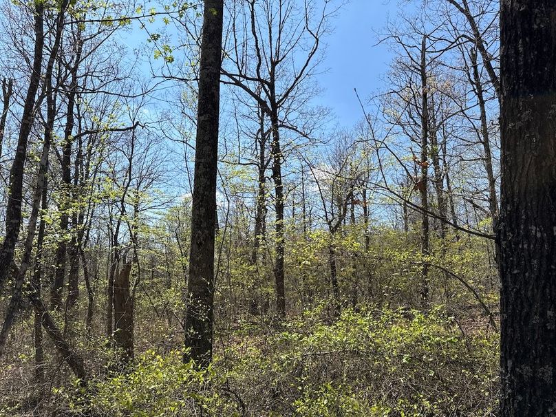 DJI_20260408_135620_780