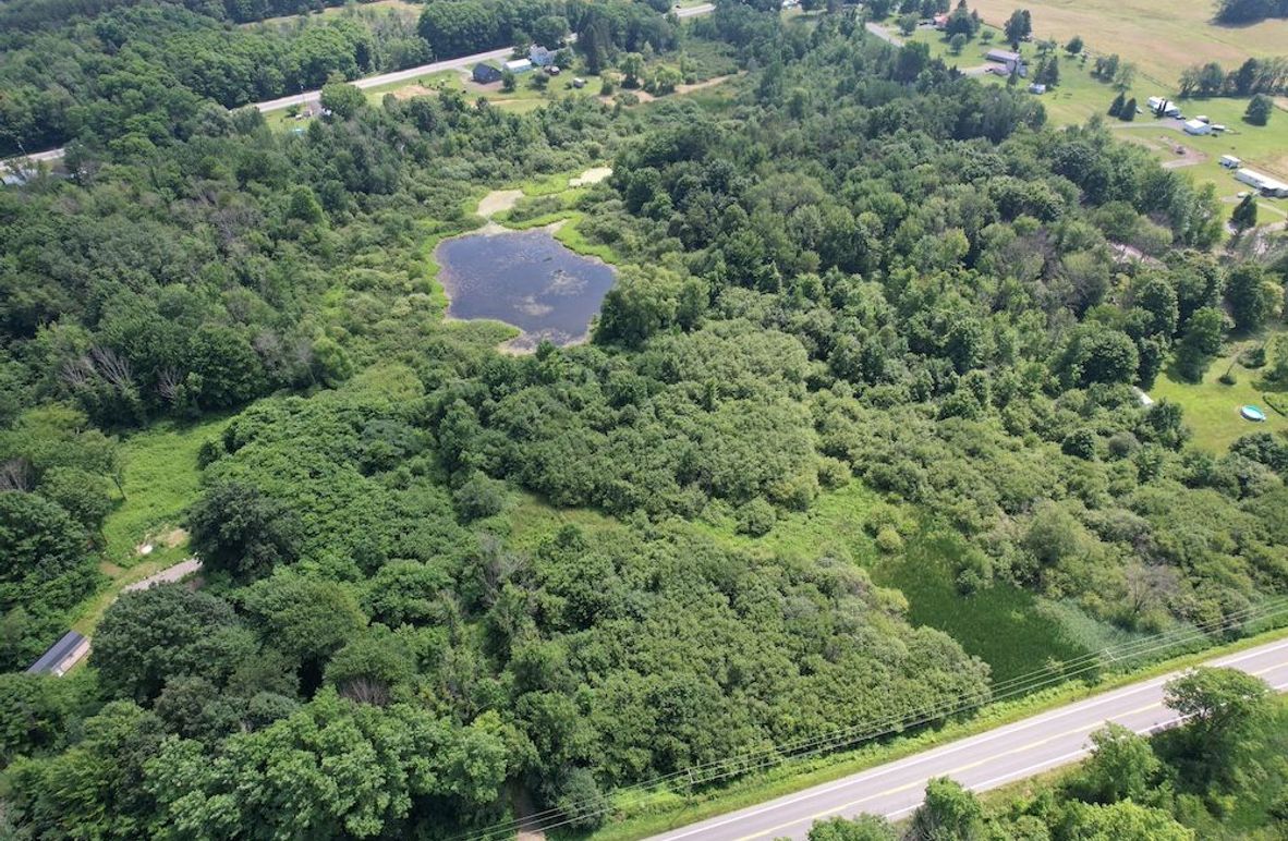 Oswego_13.95_Moore_Bush_Photos_1