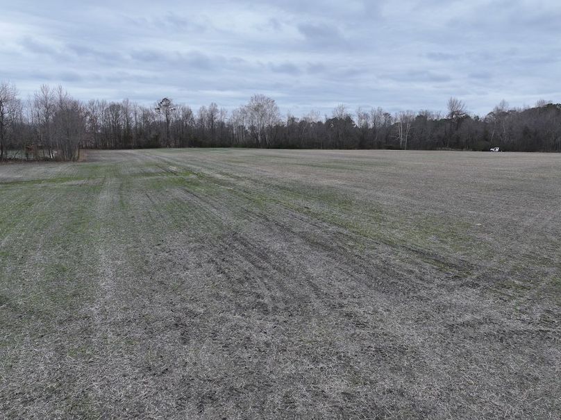 dji_fly_20260218_144824_0550_1772499961446_photo