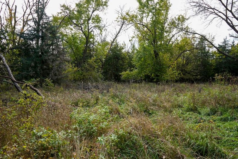 Dickinson Co, 154.5_062