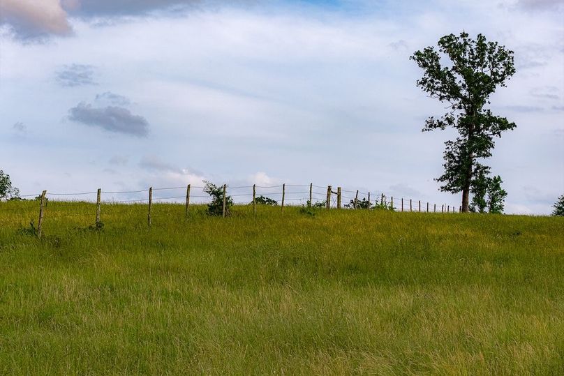 Holman Ranch-21