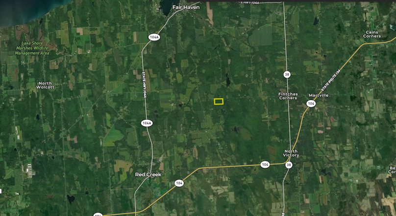 Cayuga_23.5_Demott_Landid_5