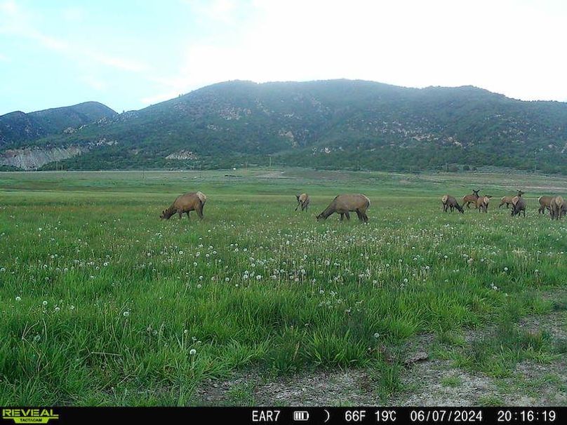 Copy of 869965069565525-60-4-06082024072714-HD-SYFW4070