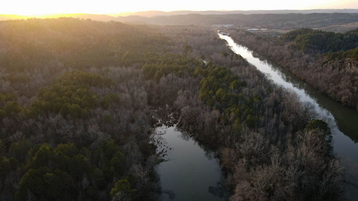 Mulga, Alabama Hunting And Recreation Tract With Creek And Homesites