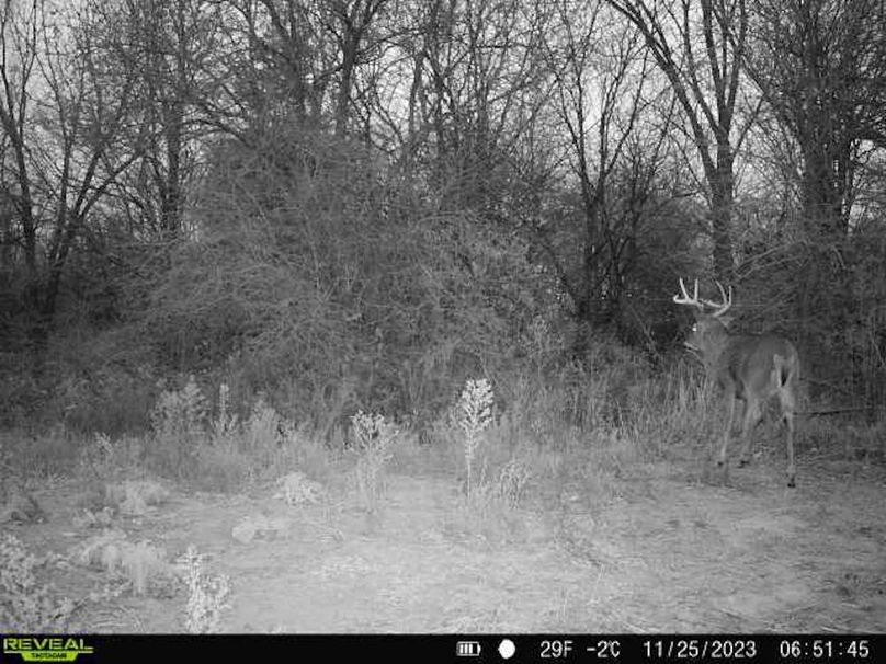 868032067149447-1-4-11252023065144-V-W1004260